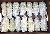 photo: You can buy Exotic White Bitter Gourd Seeds for Planting - 10 Seeds White Bitter Melon - Rare and Hard to Find. Ships from Iowa, USA online, best price $10.29 ($1.03 / Count) new 2024-2023 bestseller, review