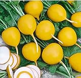 photo: You can buy David's Garden Seeds Radish Golden Helios 3377 (Yellow) 200 Non-GMO, Open Pollinated Seeds online, best price $3.95 new 2024-2023 bestseller, review