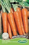 foto: comprar Germisem Berlikumer 2 Semillas de Zanahoria 10 g (EC9018) on-line, mejor precio 2,21 € nuevo 2024-2023 éxito de ventas, revisión