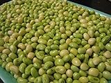 photo: You can buy Lady Cream pea AKA: Lady Finger Pea, Rice Pea, Catjang Pea Southern Peas(1/4 lb Seeds) online, best price $5.95 new 2024-2023 bestseller, review