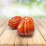 foto: jetzt Tomato ''Bullenherz'' 25 x Samen aus Portugal 100% Natursamen ohne chemische Anzuchthilfen oder Gentechnik Online, bester Preis 2,99 € neu 2024-2023 Bestseller, Rezension