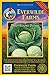 photo Everwilde Farms - 500 Early Round Dutch Cabbage Seeds - Gold Vault Jumbo Seed Packet 2024-2023