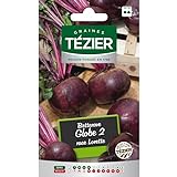 foto: comprar bolsa de semillas Remolacha Globe 2 Raza Lorette Tezier on-line, mejor precio 5,15 € nuevo 2024-2023 éxito de ventas, revisión
