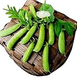 photo: You can buy 50 Sugar Ann Snap Pea Heirloom Seeds - Non GMO - Neonicotinoid-Free online, best price $8.99 ($0.18 / Count) new 2024-2023 bestseller, review