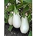 photo White Star Eggplant Seeds(Hybrid) Seeds (40 Seed Pack) 2024-2023