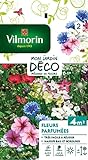 photo: acheter Vilmorin 5862942 Fleur parfumée, Multicolore, 90 x 2 x 160 cm en ligne, meilleur prix 4,50 € nouveau 2024-2023 best-seller, examen