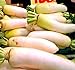 photo Big Pack - (3,000) Japanese Daikon - Daikon Radish Seeds - Japanese Radish - Non-GMO Seeds by MySeeds.Co (Big Pack - Daicon Radish) 2024-2023