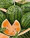 photo David's Garden Seeds Fruit Watermelon Tendersweet Orange 1342 (Orange) 50 Non-GMO, Heirloom Seeds 2024-2023
