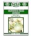 photo Crystal Wax Onion Seeds - 350 Seeds Non-GMO 2024-2023