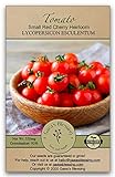 photo: You can buy Gaea's Blessing Seeds - Tomato Seeds - Small Red Cherry Heirloom - Non-GMO Seeds with Easy to Follow Planting Instructions - Open-Pollinated 92% Germination Rate online, best price $5.99 new 2024-2023 bestseller, review