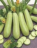 photo: You can buy Seeds Squash Zucchini Aspirant 38 Days White Bush Vegetable for Planting Heirloom Non GMO online, best price $7.99 new 2024-2023 bestseller, review