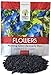 photo Morning Glory Seeds Heavenly Blue - Large 1 Ounce Packet - Over 1,000 Flower Seeds 2024-2023