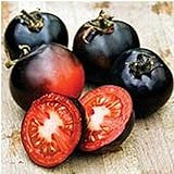 photo: You can buy Indigo Rose Tomato Seeds (20+ Seeds) | Non GMO | Vegetable Fruit Herb Flower Seeds for Planting | Home Garden Greenhouse Pack online, best price $3.69 ($0.18 / Count) new 2024-2023 bestseller, review
