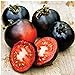 photo Indigo Rose Tomato Seeds (20+ Seeds) | Non GMO | Vegetable Fruit Herb Flower Seeds for Planting | Home Garden Greenhouse Pack 2024-2023