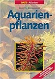 foto: jetzt Aquarienpflanzen Online, bester Preis 69,95 € neu 2024-2023 Bestseller, Rezension