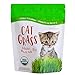 photo Organic Cat Grass Seed Blend for Planting by Handy Pantry - A Healthy Mix of Organic Wheatgrass Seeds: Barley, Oats, and Rye Seeds - Non-GMO Wheat Grass Seeds for Pets - Cat Grass Kit Refill (12 oz.) 2024-2023