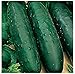 photo 50 Marketmore 76 Cucumber Seeds | Non-GMO | Heirloom | Instant Latch Garden Seeds 2024-2023