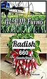 photo: You can buy Over 660 Radish Seeds for Planting-3 Grams of Heirloom & Non-GMO Seeds with Instructions to Plant The Perfect Kitchen Herb Garden, Indoor Or Outdoor. Great Gardening Gift. Microgreens. by B&KM Farms online, best price $4.49 ($0.01 / Count) new 2024-2023 bestseller, review