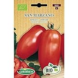 foto: comprar Germisem Orgánica San Marzano Semillas de Tomate 0.5 g on-line, mejor precio 3,99 € nuevo 2024-2023 éxito de ventas, revisión