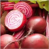 photo: You can buy Seed Needs, Chioggia Beets (Beta vulgaris) Bulk Package of 2,000 Seeds Non-GMO online, best price $7.49 new 2024-2023 bestseller, review