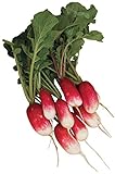 photo: You can buy Burpee French Breakfast Organic Radish Seeds 325 seeds online, best price $7.99 new 2024-2023 bestseller, review