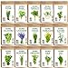 photo Seedra 15 Herb Seeds Variety Pack - 4500+ Non-GMO Heirloom Seeds for Planting Hydroponic Indoor or Outdoor Home Garden - Lavender, Parsley, Cilantro, Basil, Thyme, Mint, Rosemary, Dill & More 2024-2023