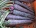 photo David's Garden Seeds Carrot Purple Sun 1123 (Purple) 200 Non-GMO, Hybrid Seeds 2024-2023