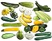 photo This is a Mix!!! 50+ Zucchini and Squash Mix Seeds 12 Varieties Non-GMO Delicious Grown in USA. Rare, Super Profilic 2024-2023
