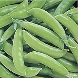 photo: You can buy David's Garden Seeds Pea Snap Super Sugar 4736 (Green) 100 Non-GMO, Open Pollinated Seeds online, best price $4.45 new 2024-2023 bestseller, review
