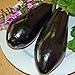 photo Eggplant,Black Beauty Eggplant Seed, Heirloom, , Non GMO, 25 Seeds, Vegetable 2024-2023
