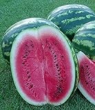 foto: jetzt Melone - Wassermelone Crimson Sweet - 10 Samen Online, bester Preis 1,70 € (1,70 € / count) neu 2024-2023 Bestseller, Rezension
