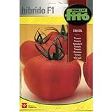 foto: comprar Semillas Fitó Híbridos 4049 - Tomate Crisol on-line, mejor precio 3,98 € nuevo 2024-2023 éxito de ventas, revisión