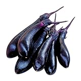 photo: You can buy Burpee Millionaire Hybrid Eggplant Seeds 30 seeds online, best price $7.27 new 2024-2023 bestseller, review