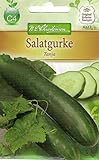 foto: jetzt Chrestensen Salatgurke 'Tanja' Online, bester Preis 2,99 € (2,99 € / l) neu 2024-2023 Bestseller, Rezension