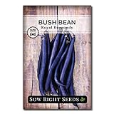 photo: You can buy Sow Right Seeds - Royal Burgundy Bean Seed for Planting - Non-GMO Heirloom Packet with Instructions to Plant a Home Vegetable Garden online, best price $5.49 new 2024-2023 bestseller, review
