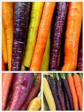 photo: You can buy Homegrown Carrot Seeds, 1000 Seeds, Rainbow Supreme Carrot Mixture No GMO online, best price $5.49 new 2024-2023 bestseller, review