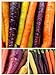 photo Homegrown Carrot Seeds, 1000 Seeds, Rainbow Supreme Carrot Mixture No GMO 2024-2023
