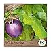 foto Samenliebe BIO Auberginen Samen alte Sorte Violetta di Firenza baby Aubergine runde Eierfrucht violett 10 Samen samenfestes Gemüse Saatgut für Gewächshaus Freiland und Balkon BIO Gemüsesamen 2024-2023