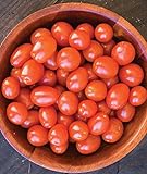 photo: You can buy Burpee Napa Grape Tomato Seeds 30 seeds online, best price $8.49 ($0.28 / Count) new 2024-2023 bestseller, review