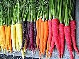 photo: You can buy 500+ Rainbow Carrot Seeds to Grow - Colorful Blend of Exotic Colored Carrots. Edible Vegetables. Made in USA online, best price $9.99 new 2024-2023 bestseller, review