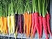 photo 500+ Rainbow Carrot Seeds to Grow - Colorful Blend of Exotic Colored Carrots. Edible Vegetables. Made in USA 2024-2023