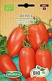 foto: comprar Germisem Orgánica Roma Semillas de Tomate 0.5 g on-line, mejor precio 3,99 € nuevo 2024-2023 éxito de ventas, revisión
