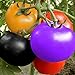 foto Semillas de Tomate Arcoíris Semillas de Tomate Jardín Semillas de Frutas Orgánicas Semillas de Verduras Planta Decoración Del Patio de Casa (100 Piezas) 2024-2023