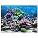 foto Cartel de Fondo del Acuario Cartel de Tanque de Peces Adhesivo de PVC Arrecife de Coral Bajo Agua Papel de Decoración Calcomanías Adhesivas Socialme-EU(76 * 30cm) 2024-2023