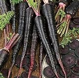 photo: You can buy 500+ Exotic Black Nebula Carrot Seeds to Grow - Daucus carota - Colorful Edible Vegetables. Made in USA online, best price $7.98 ($0.02 / Count) new 2024-2023 bestseller, review