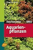 foto: jetzt Aquarienpflanzen: Das Aquarium von A - Z (Taschenatlanten) Online, bester Preis 19,90 € neu 2024-2023 Bestseller, Rezension