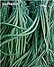 foto 8 piezas del multicolor Frijoles aflojados Semillas Semillas largo de judías de semillas de plantas en maceta crecen más rápido perenne del jardín de flores de la planta 11 2024-2023