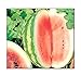 photo 25 Crimson Sweet Watermelon Seeds | Non-GMO | Fresh Garden Seeds 2024-2023