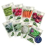 photo: You can buy Organic Winter Vegetable Seeds, Heirloom Seed Set with Vegetable Seeds for Planting Home Garden, Includes Radish, Broccoli, Peas, Kale, Beets, Beans, Cauliflower, and Carrot Seeds - Môpet Marketplace online, best price $12.99 ($12.99 / Count) new 2024-2023 bestseller, review