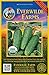 photo Everwilde Farms - 50 Organic Homemade Pickles Pickling Cucumber Seeds - Gold Vault Packet 2024-2023
